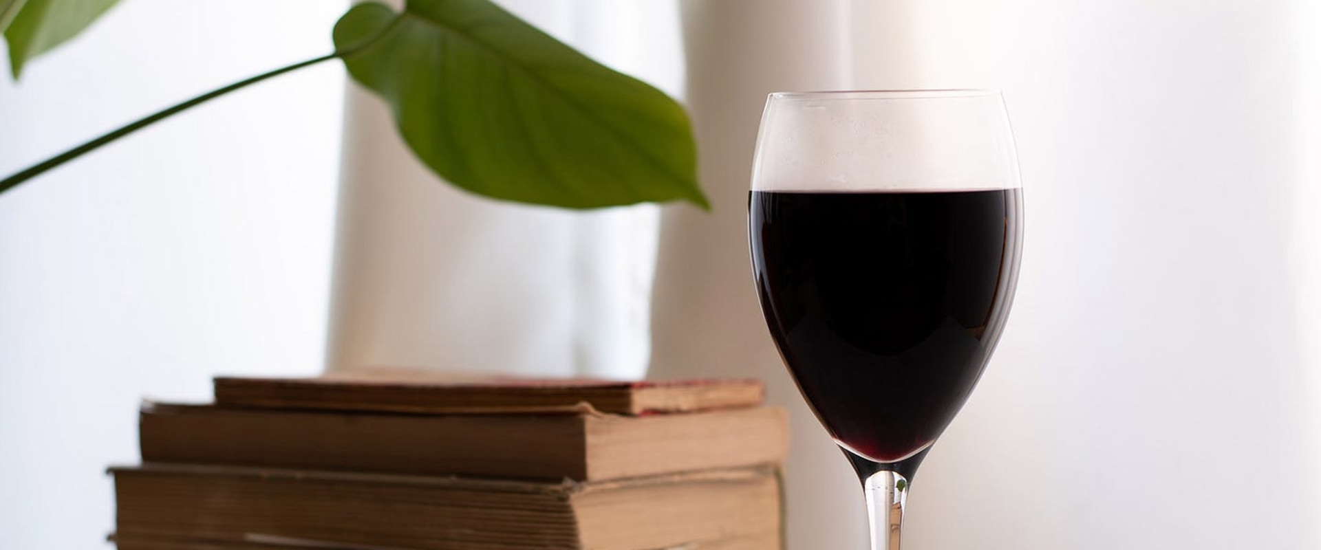 The Best Red Wines for Beginners