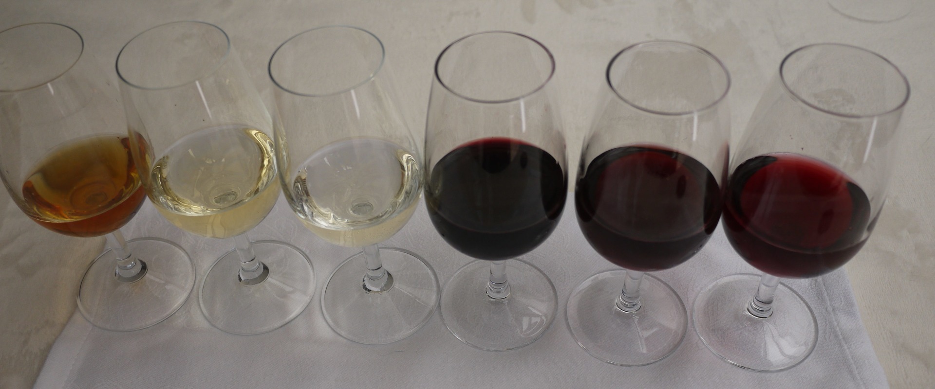 The Best Wine for Beginners: A Guide from a Wine Expert