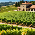 The Top Wineries Around the World