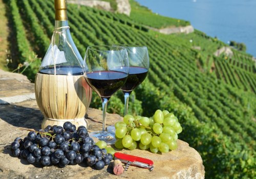 The World's Most Delicious Wines: A Wine Expert's Perspective